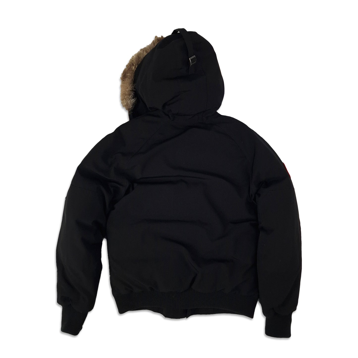 canada goose chilliwack bomber, black, back