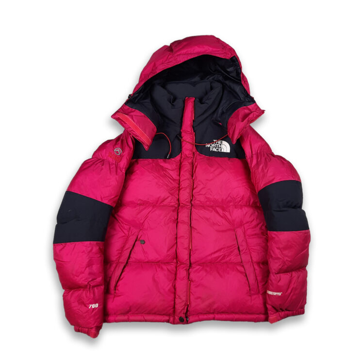 The North Face Summit Series Windstopper Parka 700 - Authenticated